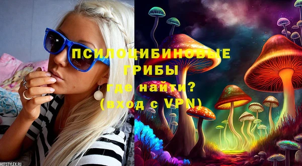 бошки Верхний Тагил