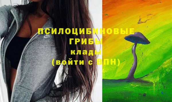 бошки Верхний Тагил