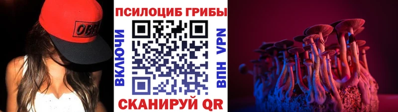 кракен tor  Советск  Галлюциногенные грибы прущие грибы 